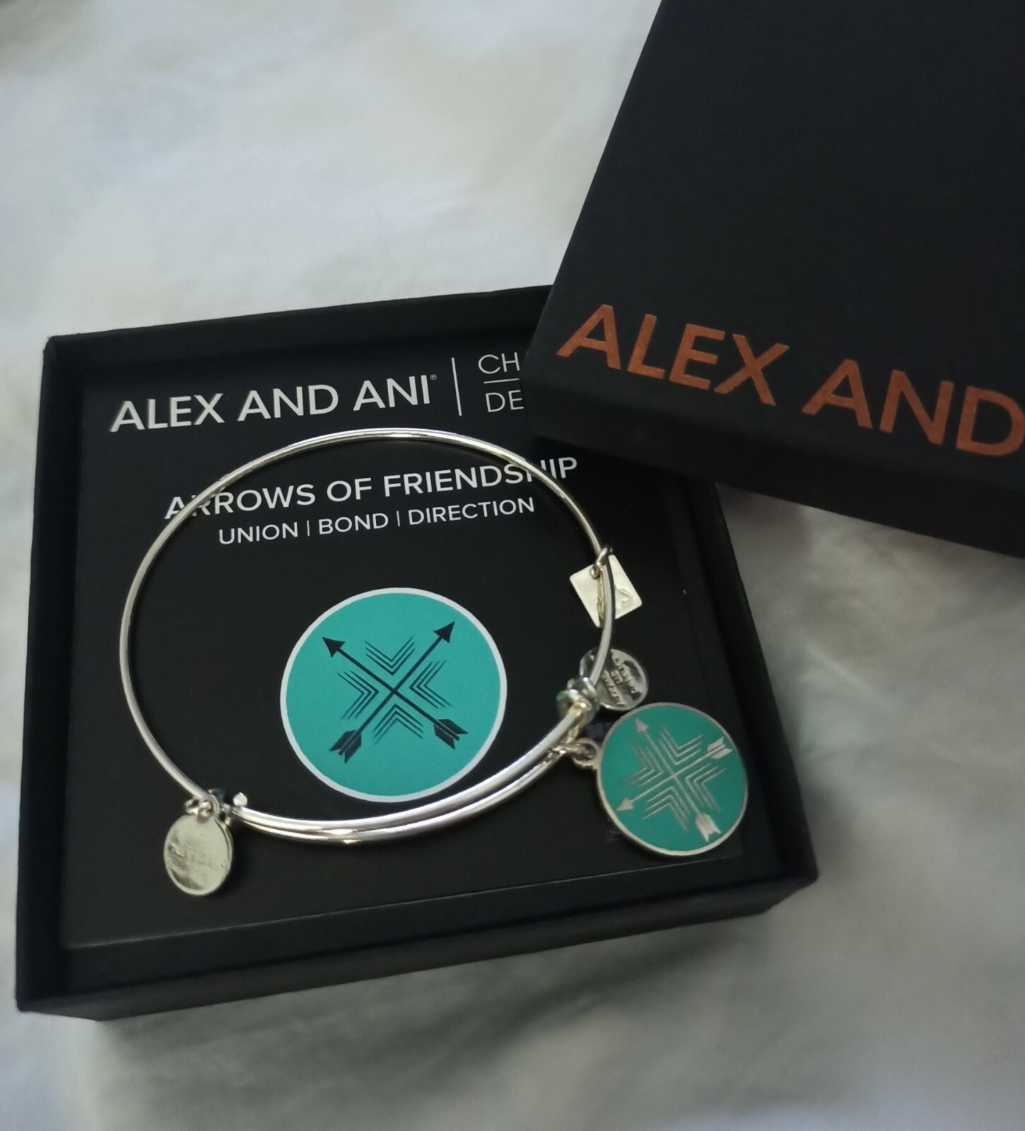 Alex and Ani Shiny Silver Bangle Arrows of Friendship