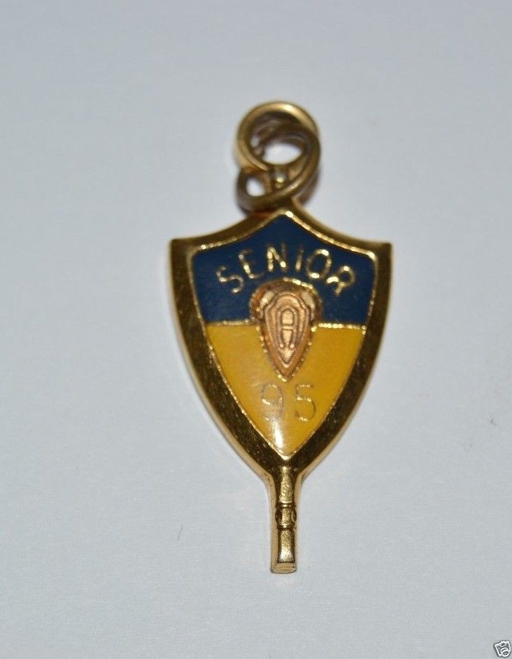 Beautiful Minty Gold Tone Jostens Class of 1995 Pendant Charm Blue & Yellow Gold