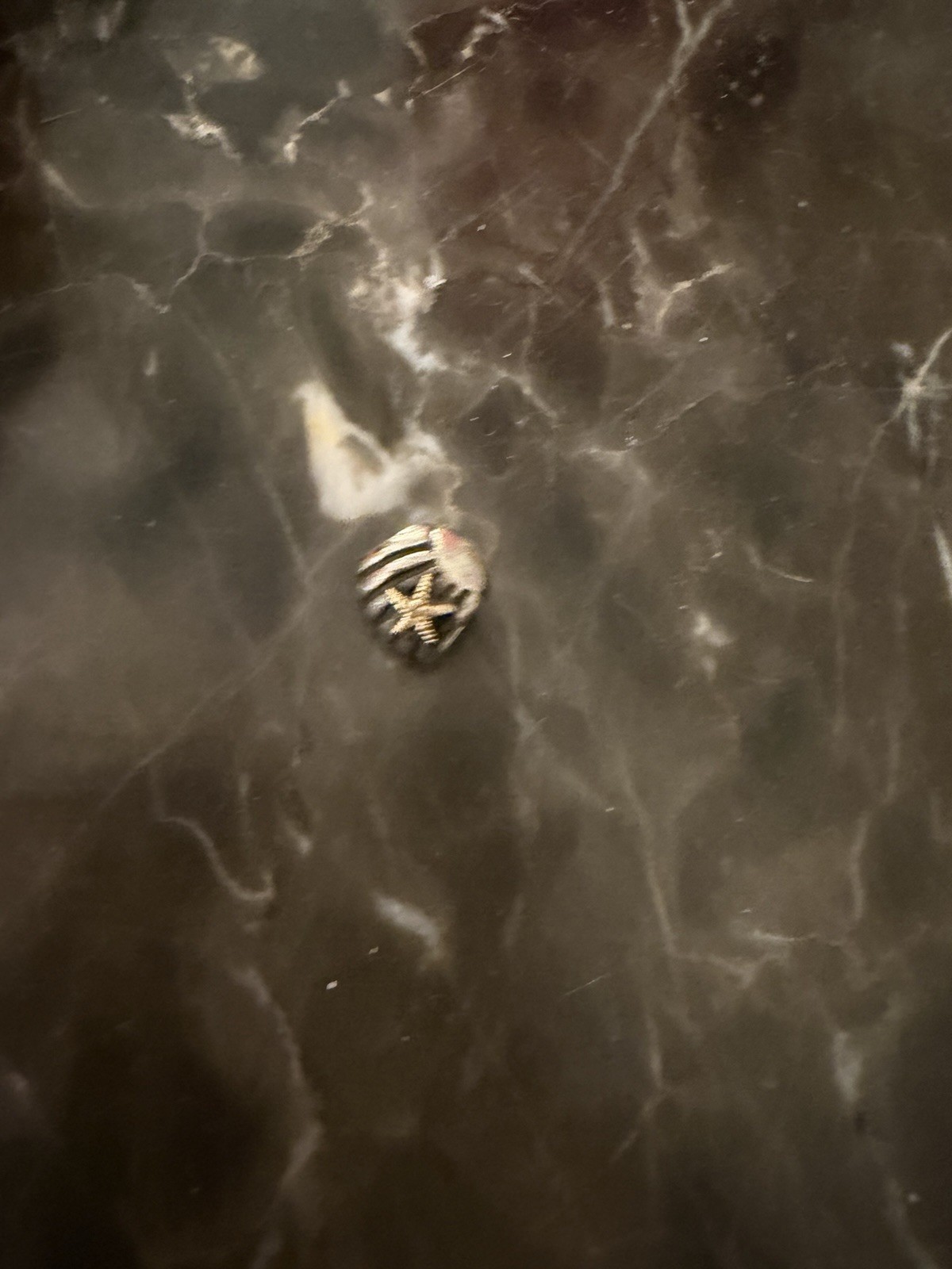 Authentic Pandora Charm