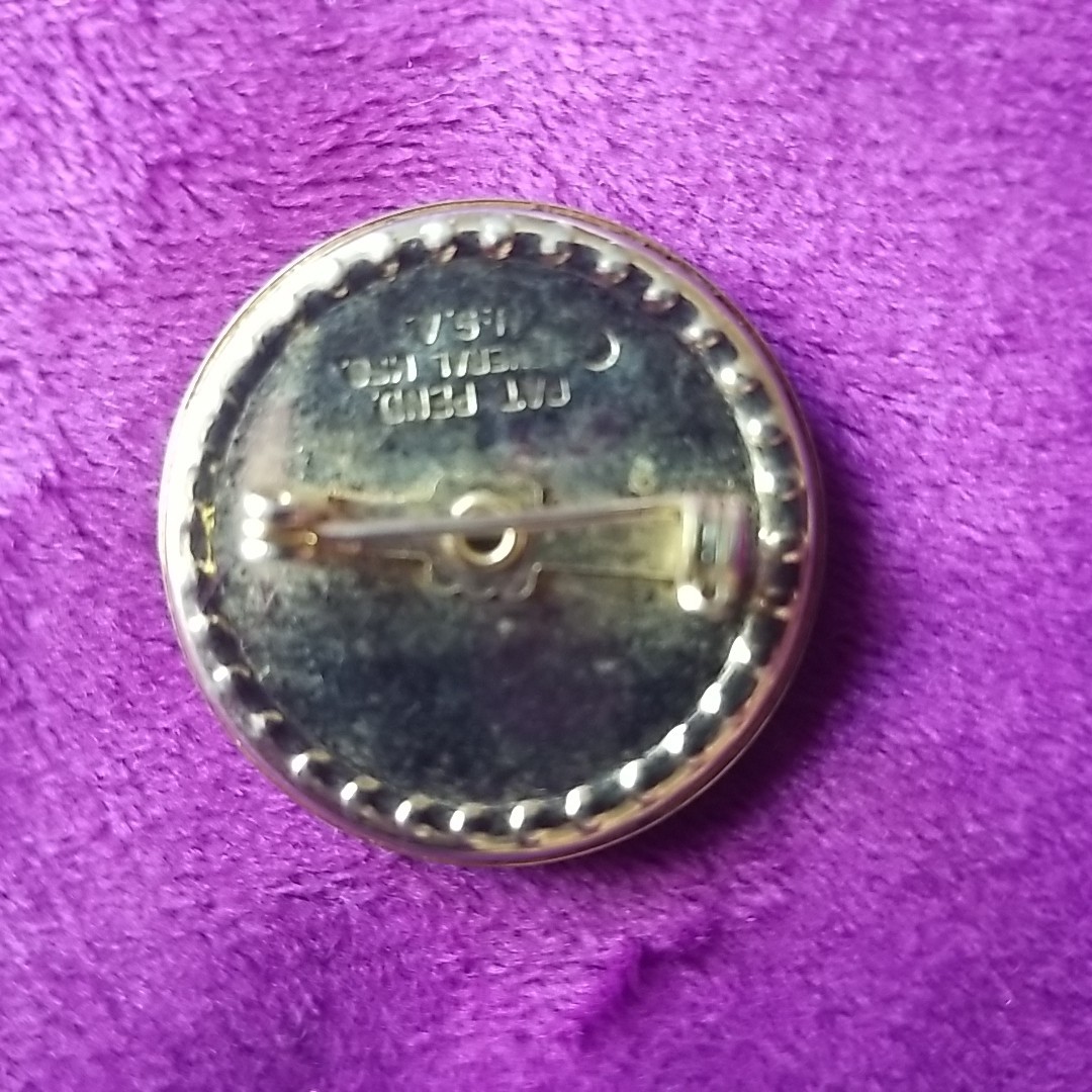 Vintage General Mfg Co USA Seamstress Magnetic Pin Holder Brooch Mother of Pearl