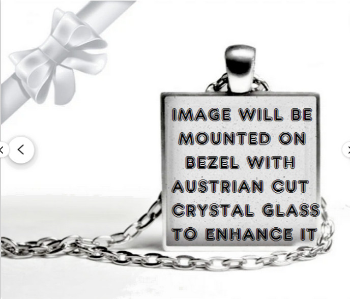 CAT DOG WORDS FUNNY Pendant 925 Silver 22″ Chain Necklace Ladies Women Men Gift