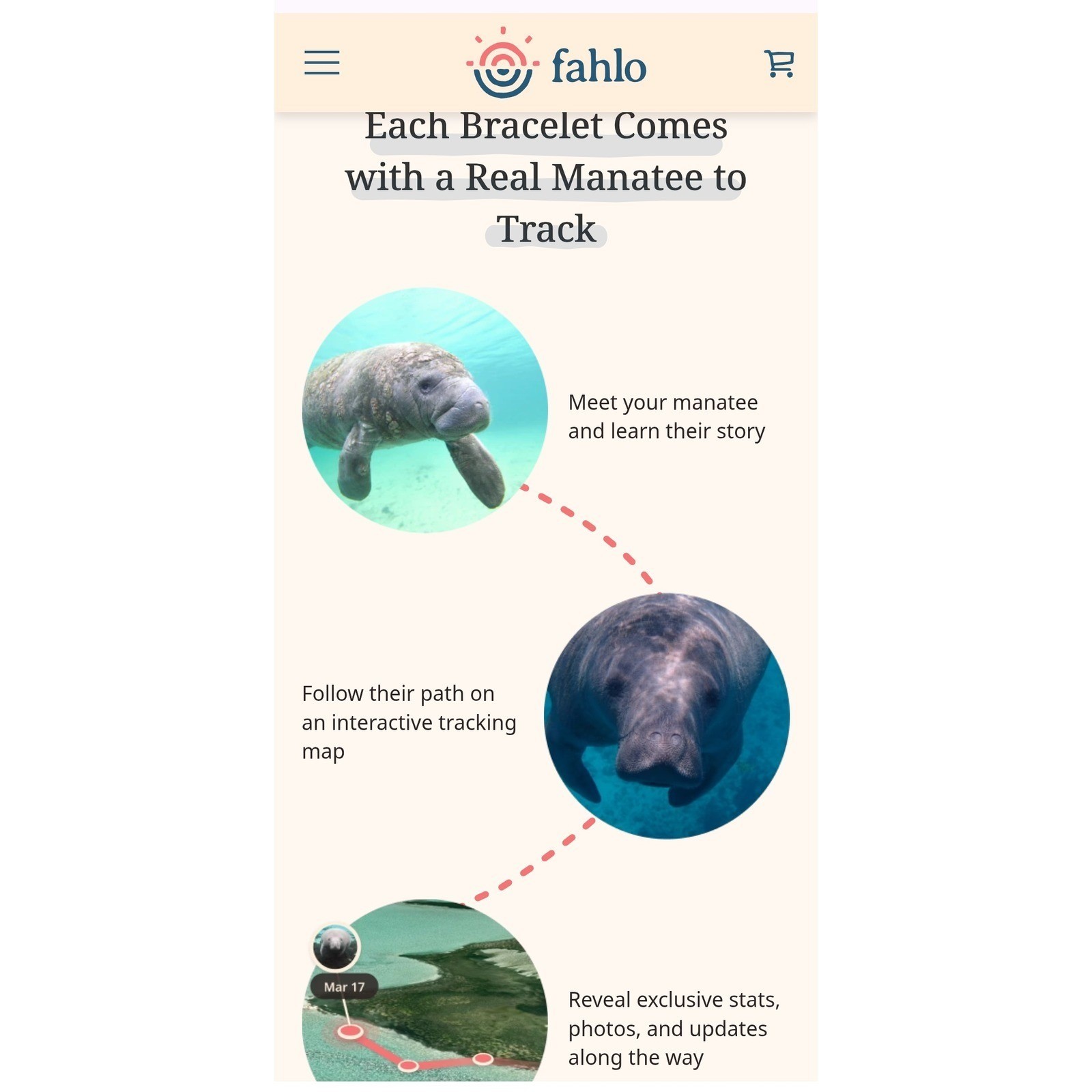 Fahlo Drift Bracelet Aqua Blue NWT Manatee Tracking Stone Bead Animal QR code
