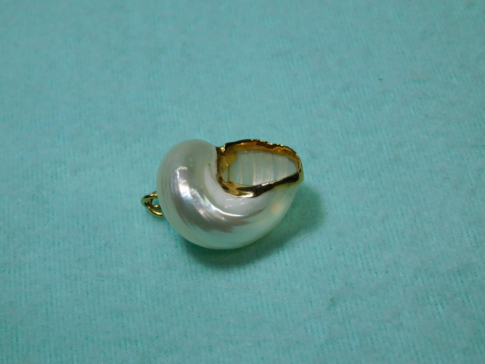 Vintage 2″ Snail Shell With Gold Color Trim Pendant in Very Good Cond.