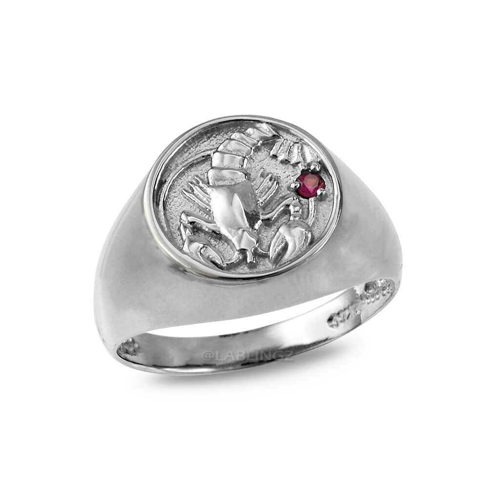 Sterling Silver CZ Birthstone Zodiac Ring