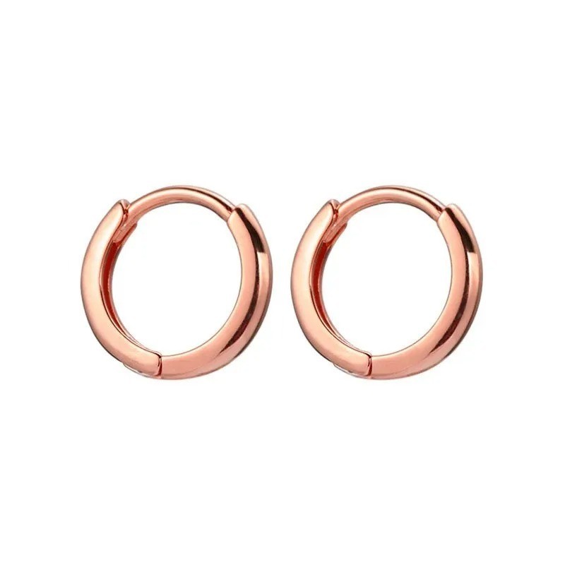 2pcs Gold Tiny Hoop Earrings Cartilage Huggie Hoops for Women Men Unisex