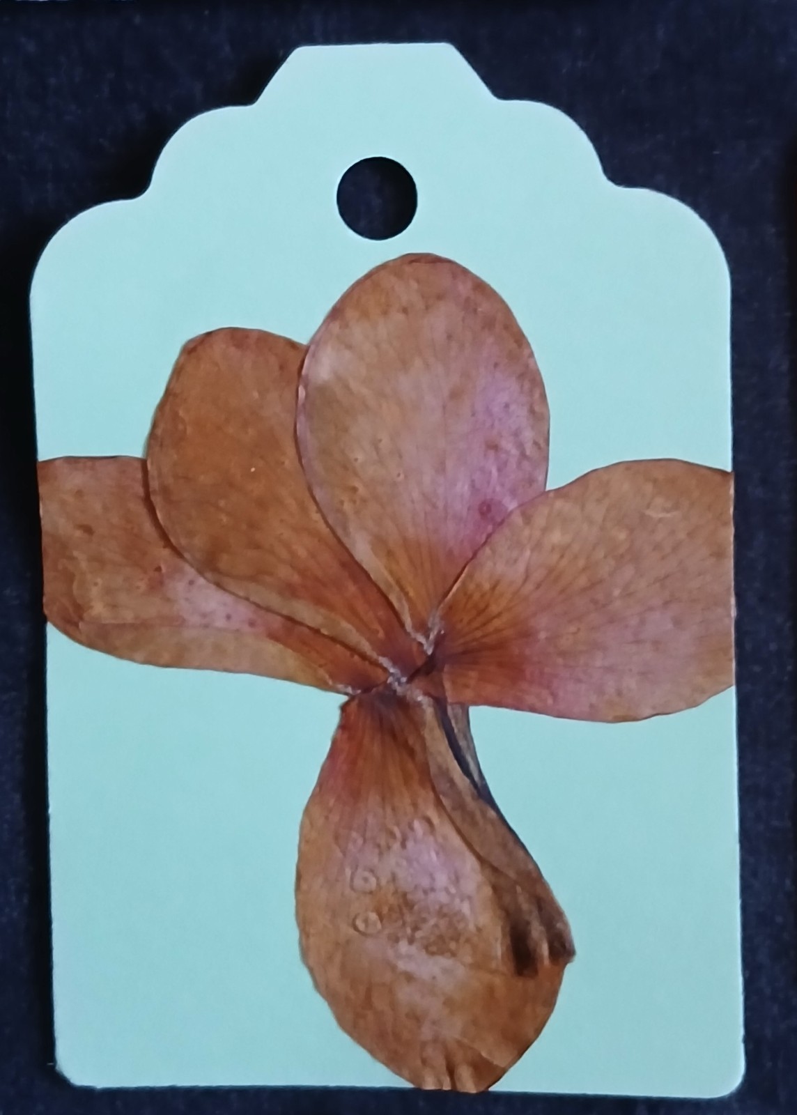 Handmade real pressed Barbadian flower gift labels tags