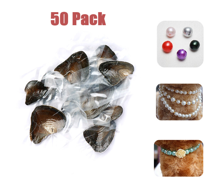 10-50pcs Individually Wrapped Oysters with Pearl Holiday Gift Birthday Wish 8 MM