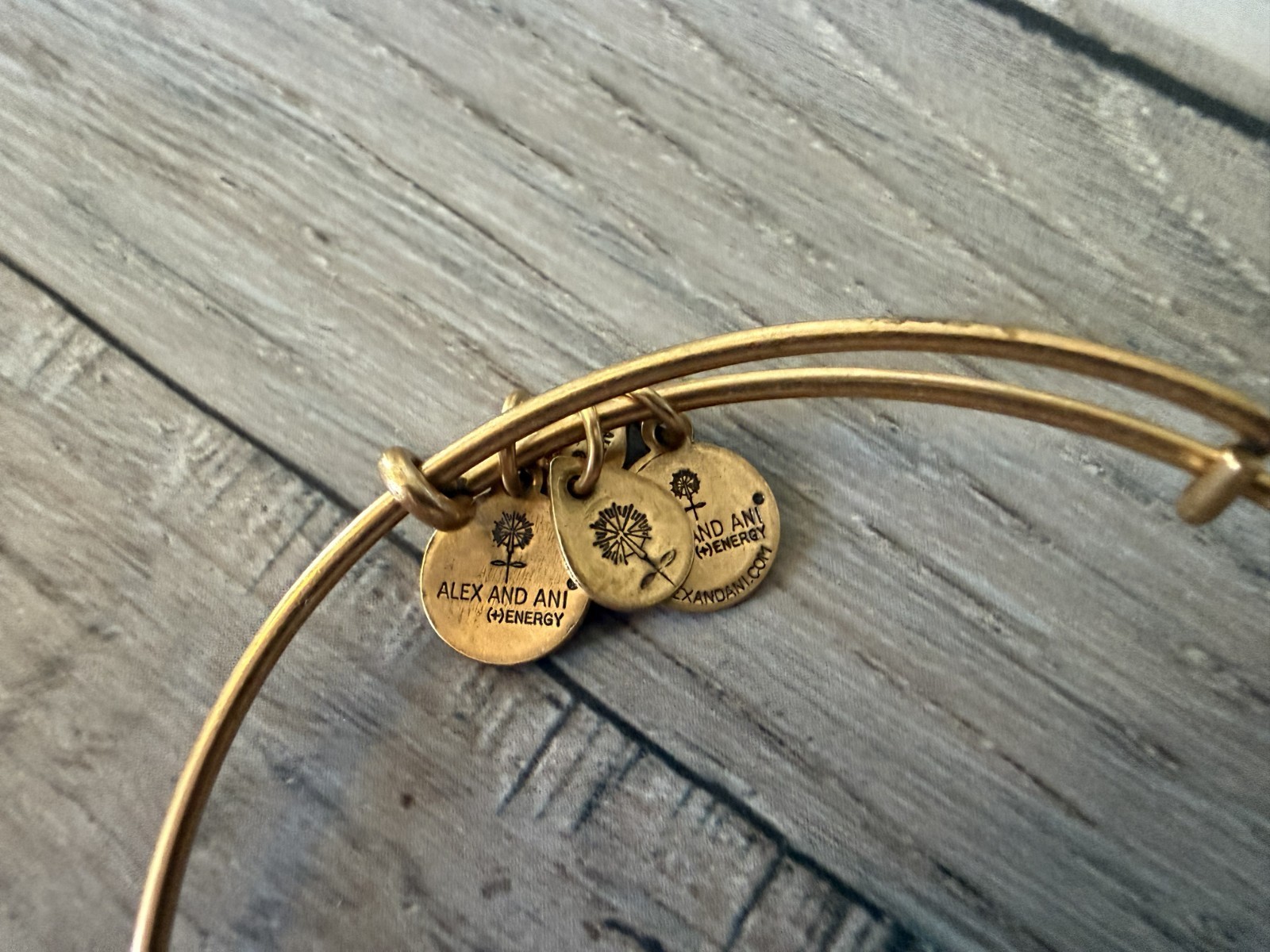 Alex and Ani Rafaelian Gold Finish Expandable Bracelet Set Feather & Beaded
