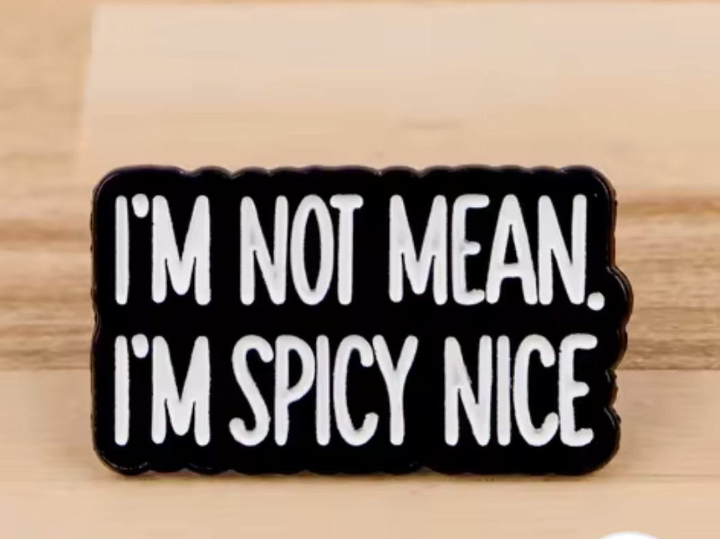 SPICY NICE PIN-2 OR MORE PINS SHIPPING IS $5.49-SPEND $20 SHIPPING IS FREE