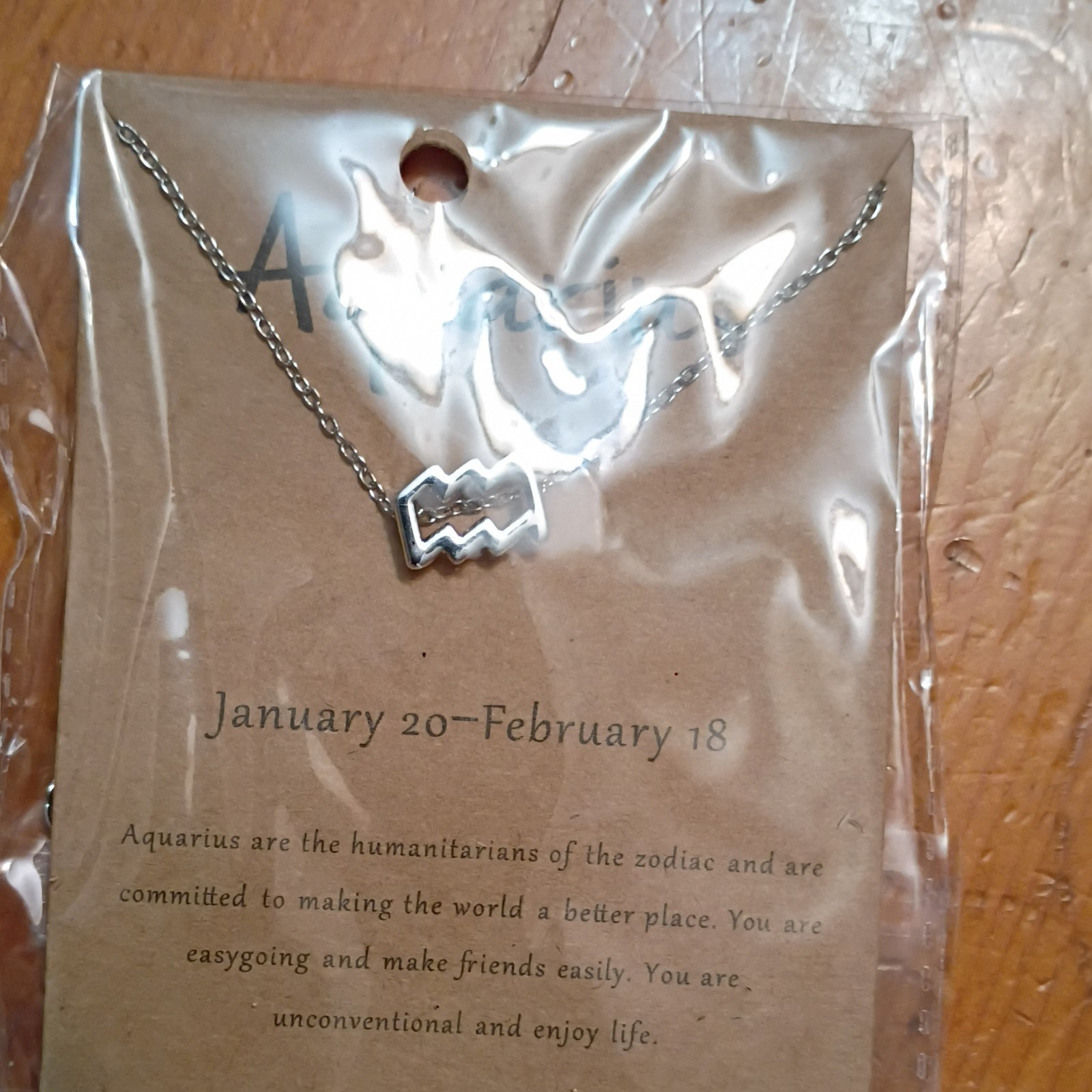 Aquarius Zodiac Symbol Charm Pendant Necklace Silver Tone Metal Cable Chain
