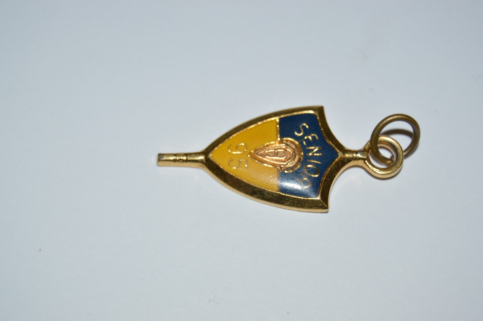 Beautiful Minty Gold Tone Jostens Class of 1995 Pendant Charm Blue & Yellow Gold