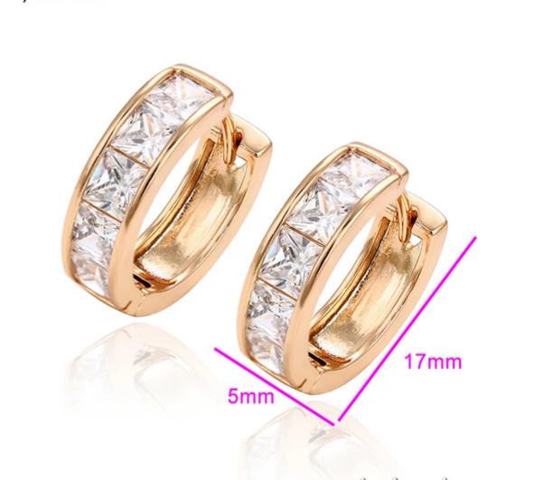 Gold Plated Hoop Earrings With Cubic Zirconia Unisex, Women Men Hip Hop Jewelry