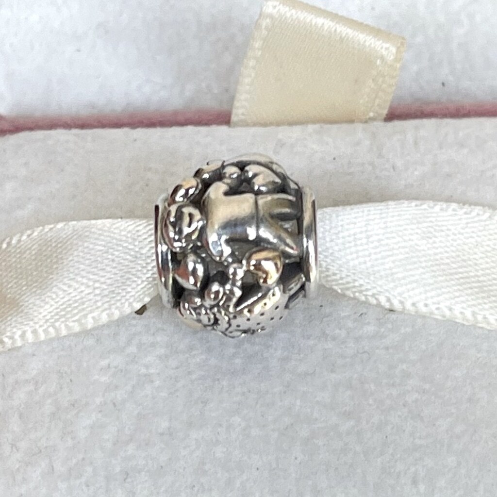 Pandora Family Holding Hands Whit 14k Hearts Charm!