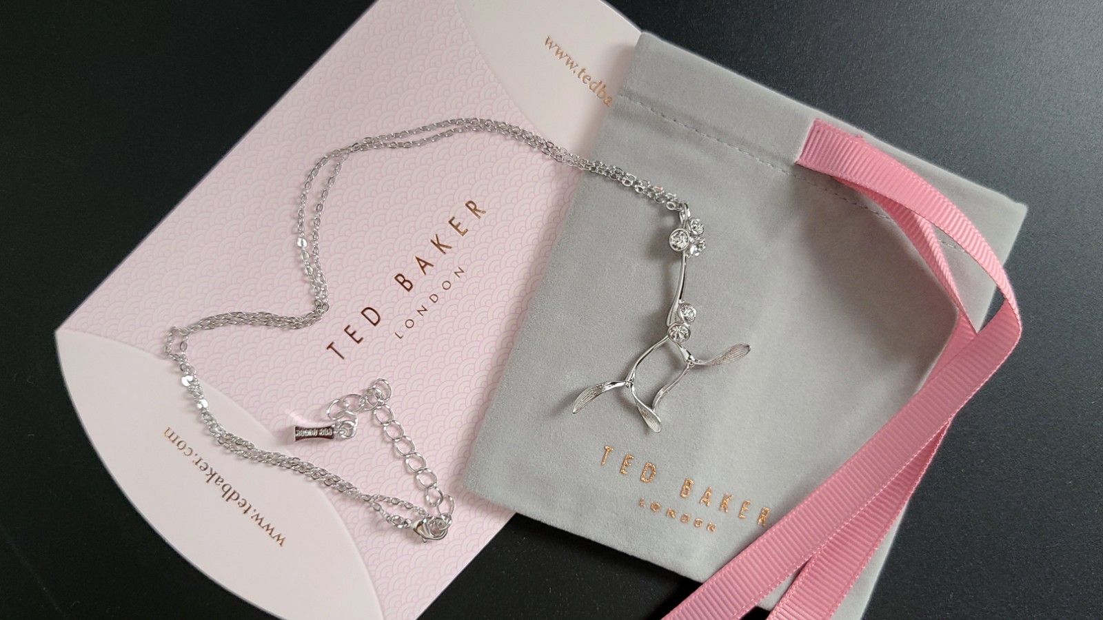 Ted Baker Silver tone Necklace Pendant Jewellery. New without tags.