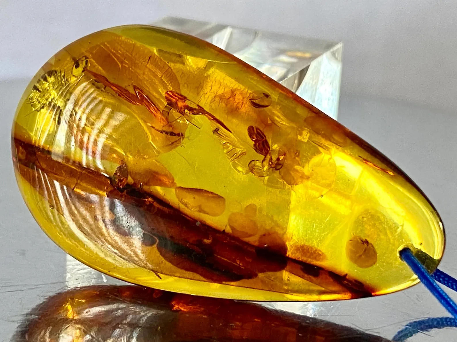 46mm Baltic Amber Pendant Cognac Scenic Inclusions Collector Statement B1413
