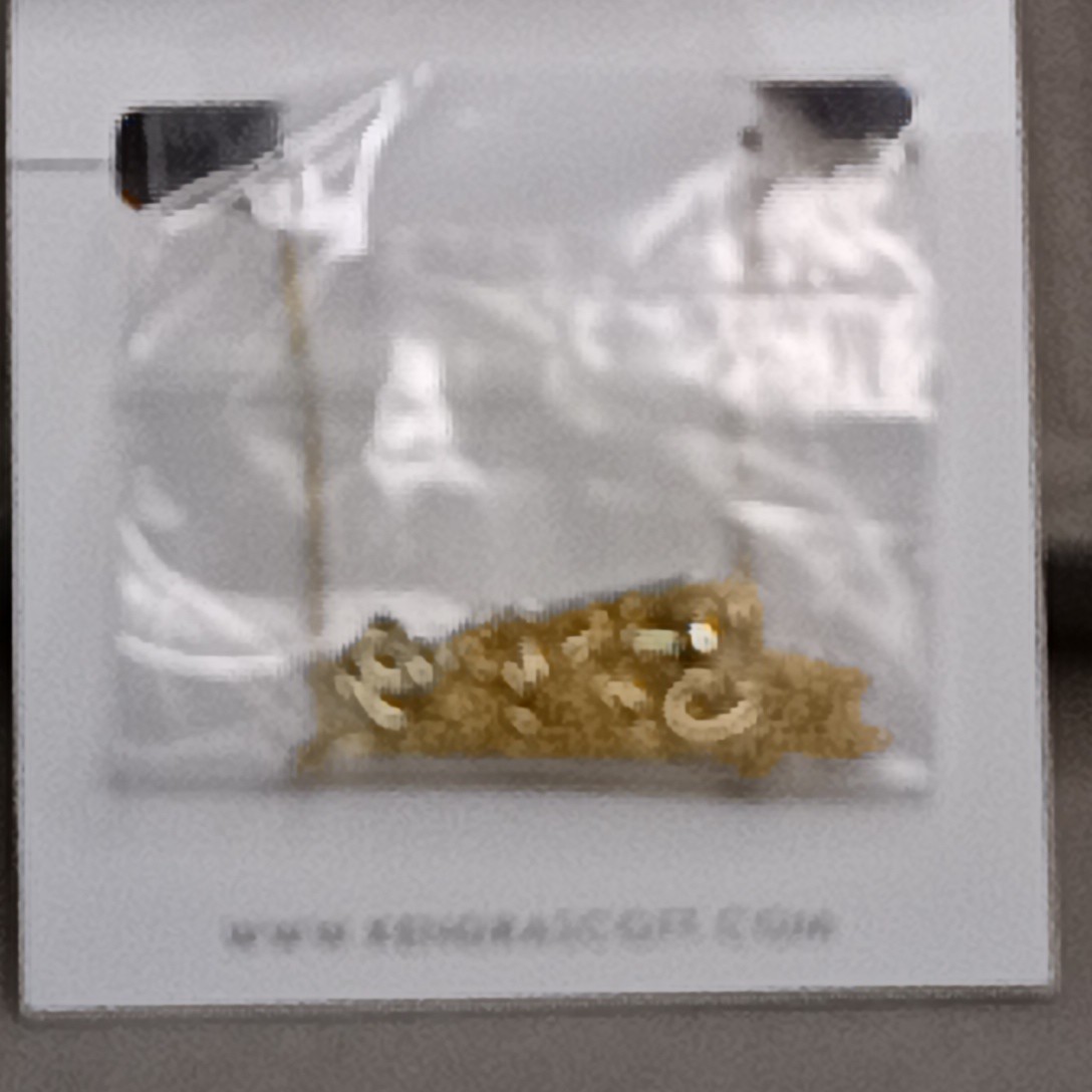 Kendra Scott Mallory Rose Huggie Hoop Earrings & Matching Necklace – Gold / Whit
