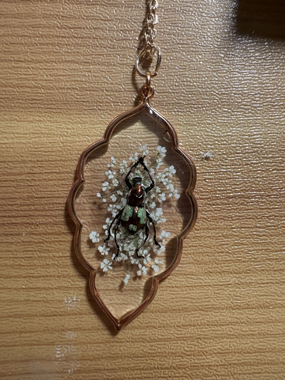 Real Beetle In Resin Necklace