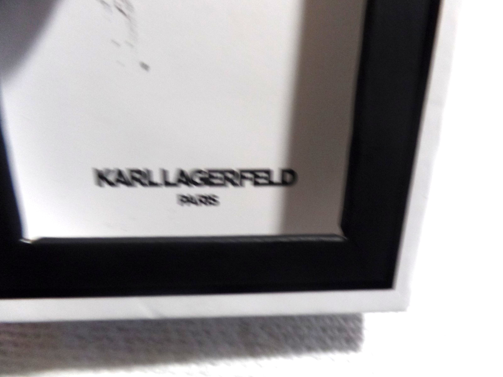KARL LAGERFELD, EARRINGS AND 2 PC NECKLACE SET, BRAND NEW, DESIGNER