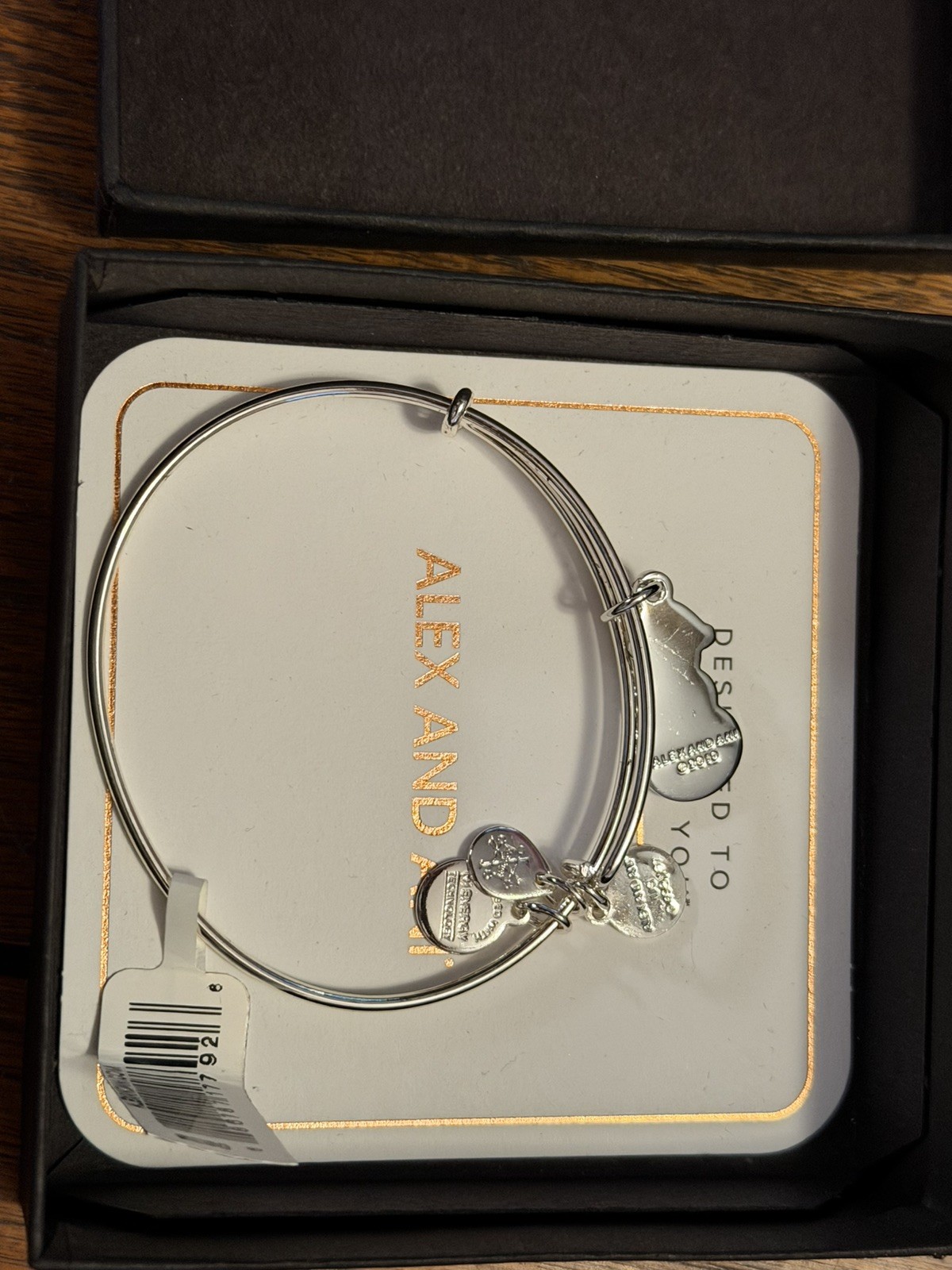 Authentic Alex and Ani Snowman Shiny Silver Expandable Charm Bangle CBD