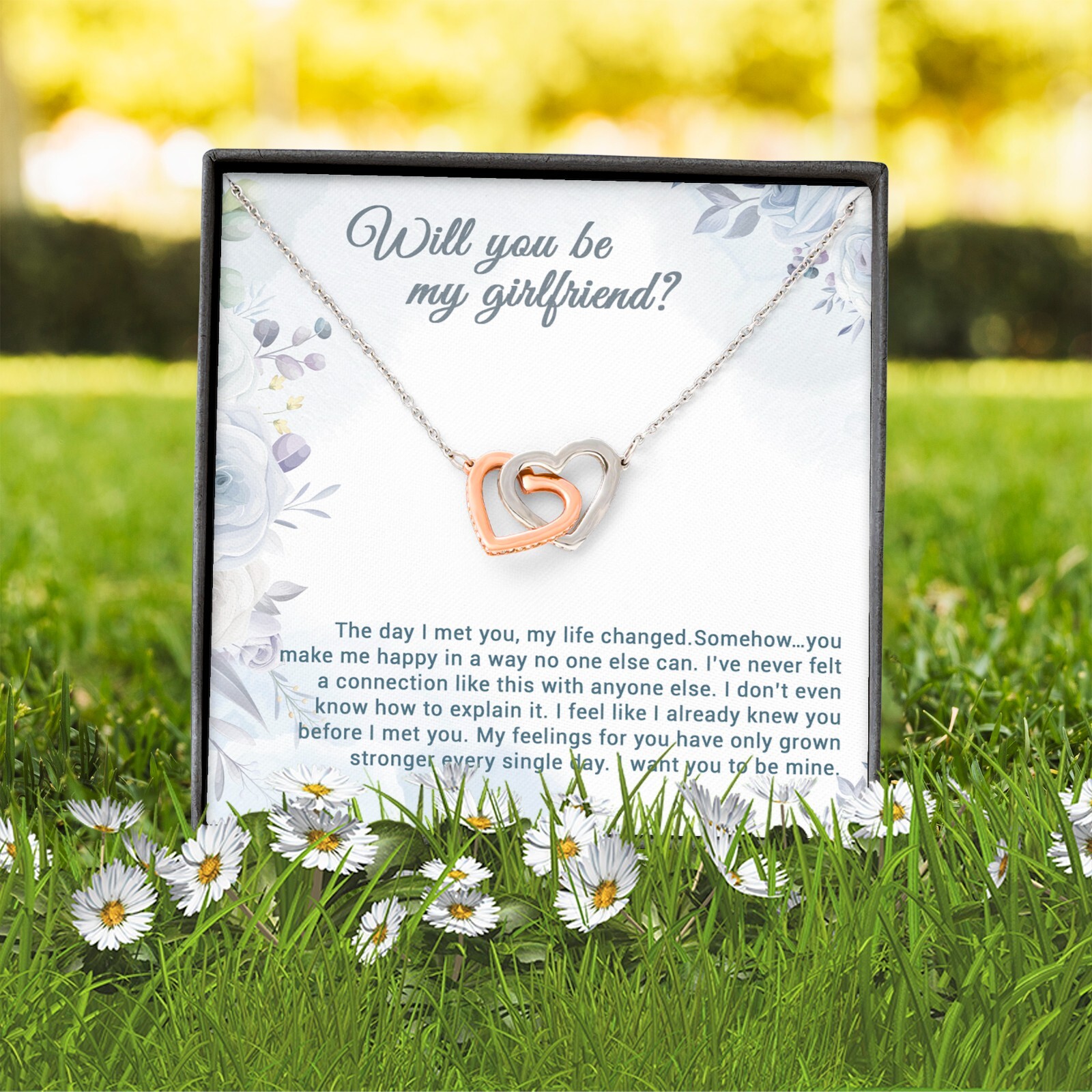 Be My Girlfriend Proposal, Will You Be My Girlfriend Gift, Future Girlfriend