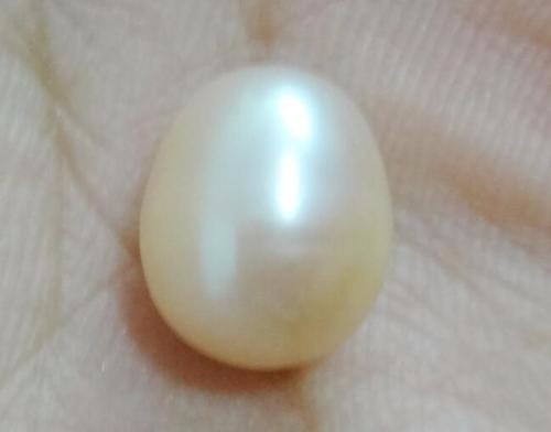 Valued Huge Natural 13.1×10.7mm genuine gold loose pearl great luster