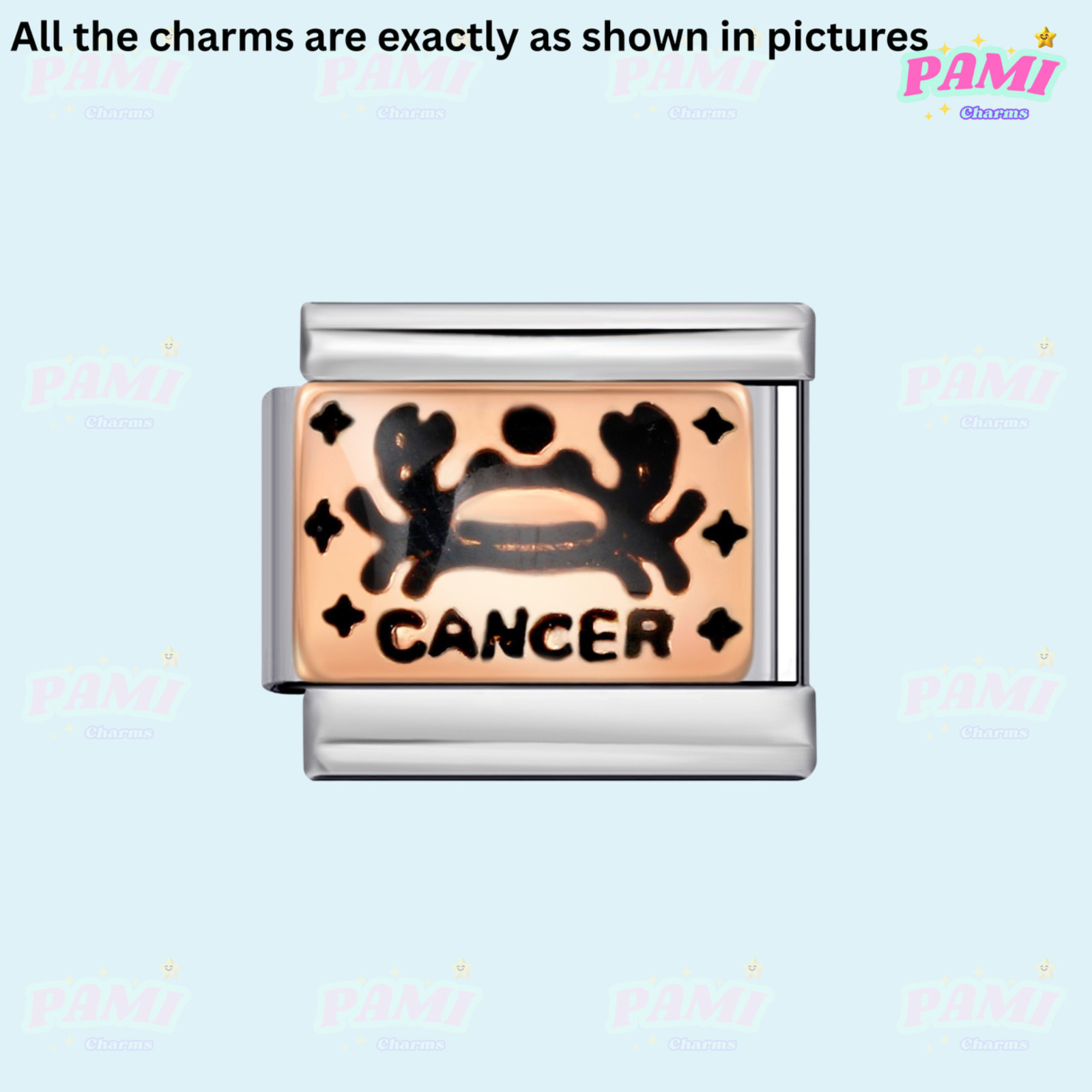 Italian charm 12 zodiac Star signs Fits All major Brands Italian charm bracelet