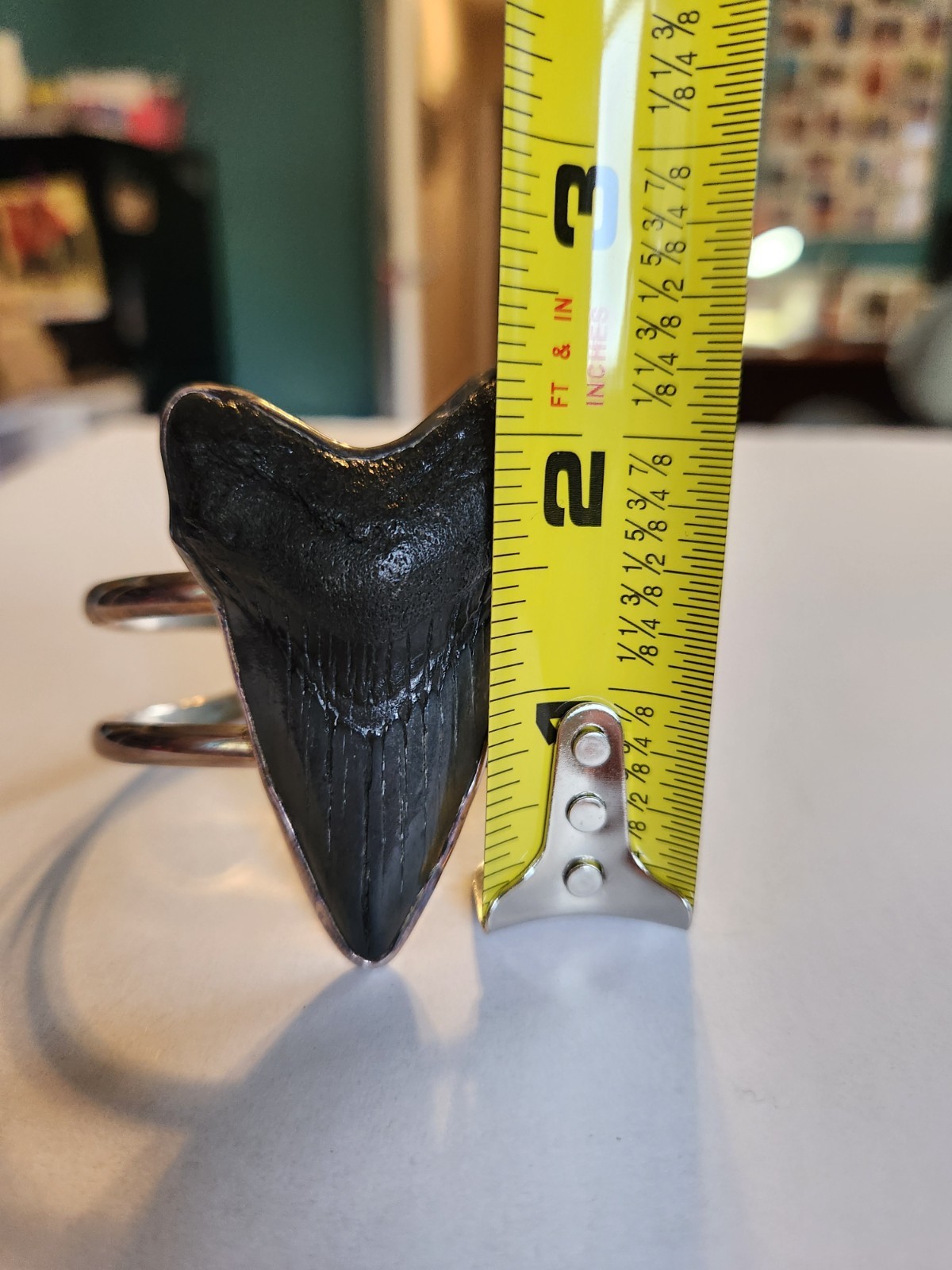 Unique Sterling Silver Megalodon Shark Tooth Cuff Bracelet by Charles Albert