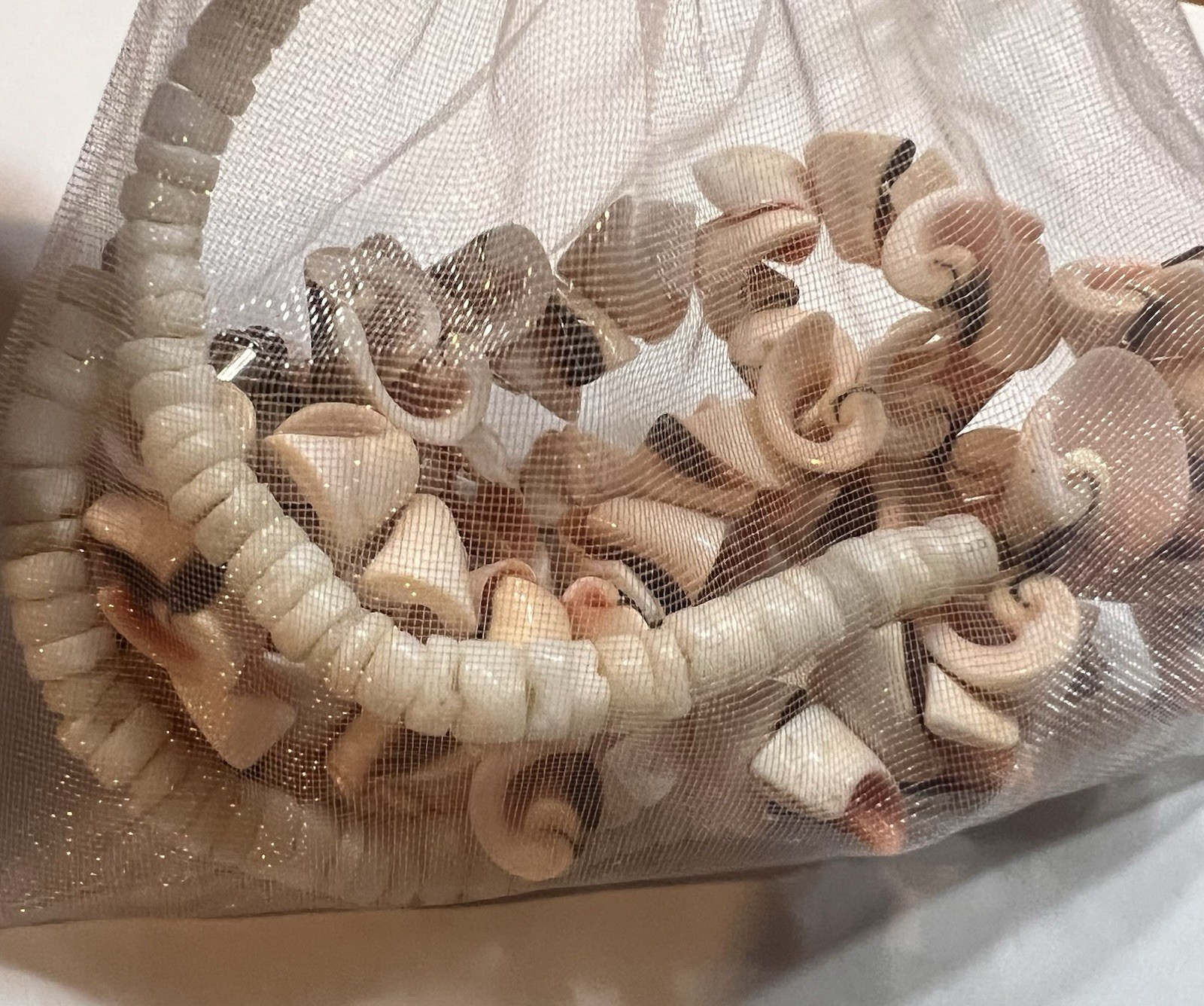 Matching shell anklet and choker necklace (pink/orange/white/black)15”