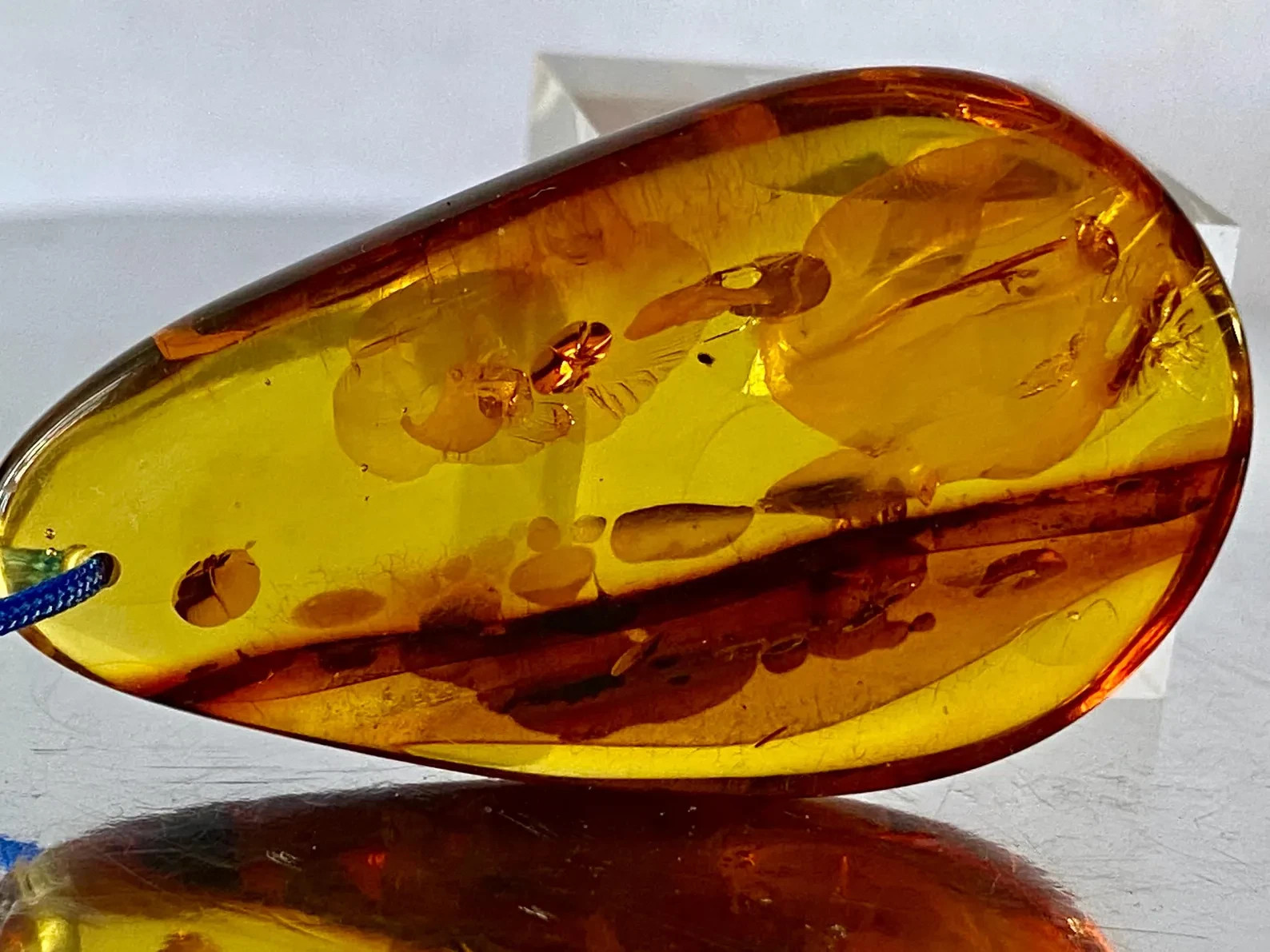 46mm Baltic Amber Pendant Cognac Scenic Inclusions Collector Statement B1413