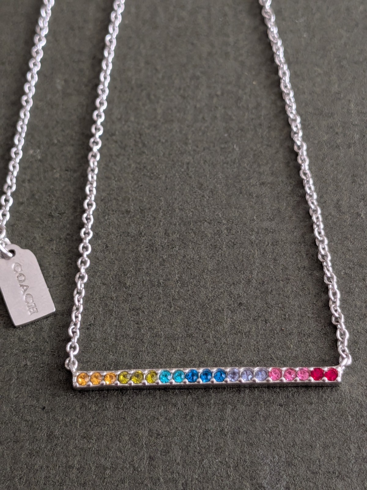 Rainbow Pave Rhinestone Coach Necklace Pride Collection Minimal Chain Pendant