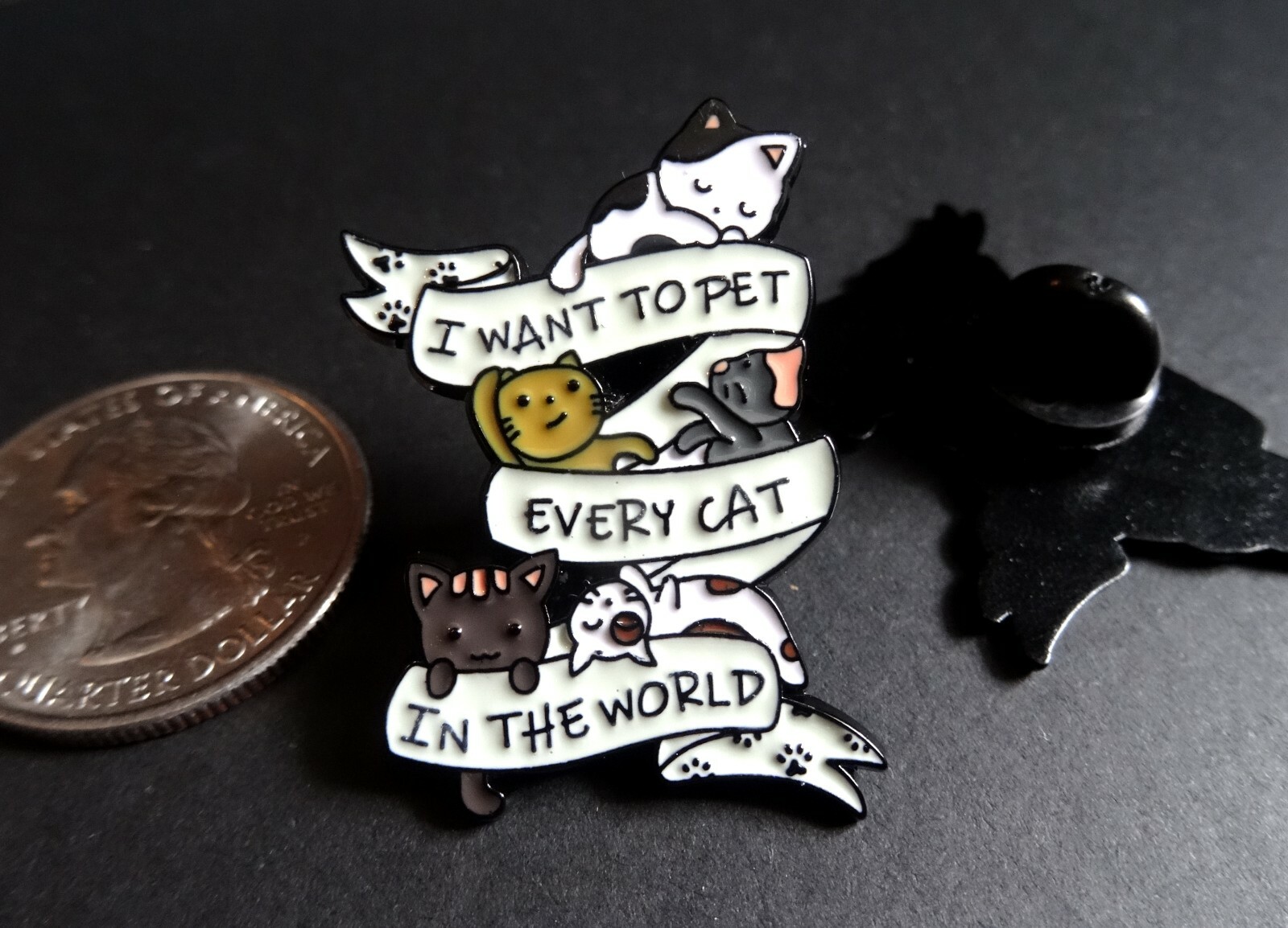 Want To Pet Every Cat Cute Crazy Cat Lady Gift Metal Pin Badge Brooch Enamel