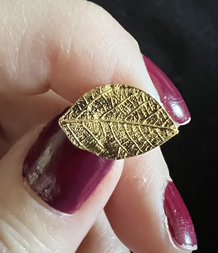 Gold Tone Textured Leaf Stud Earrings Screw Back Closure No Stone Metal