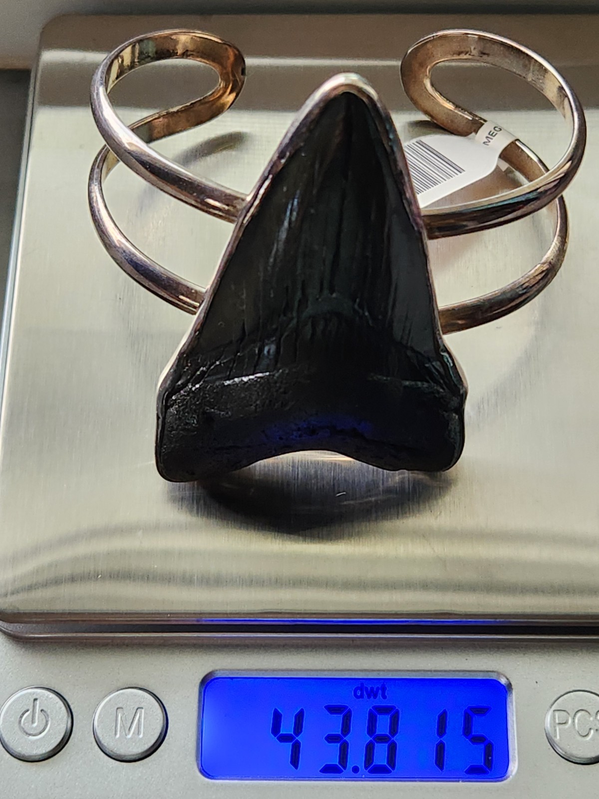 Unique Sterling Silver Megalodon Shark Tooth Cuff Bracelet by Charles Albert